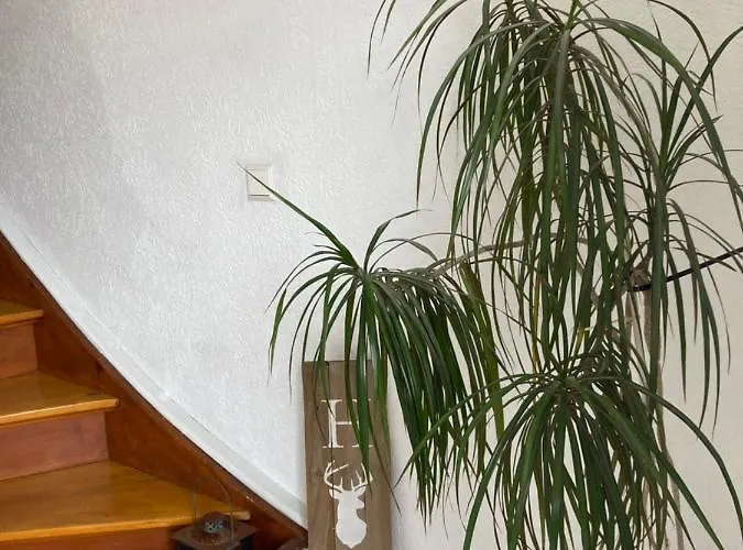 Semesterbostad Petra Rust